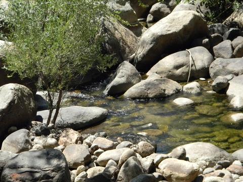 44994 S Fork Dr, Three Rivers, CA 93271 photo 43