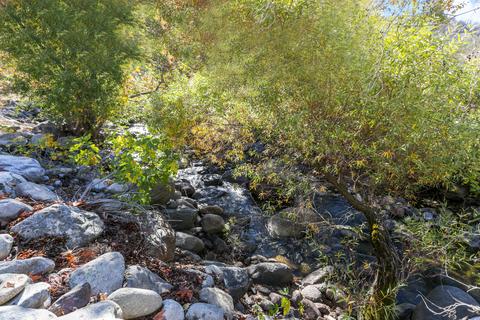 44994 S Fork Dr, Three Rivers, CA 93271 photo 45