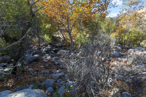 44994 S Fork Dr, Three Rivers, CA 93271 photo 47