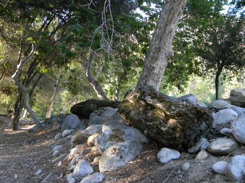 44994 S Fork Dr, Three Rivers, CA 93271 photo 40