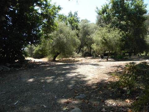 44994 S Fork Dr, Three Rivers, CA 93271 photo 49