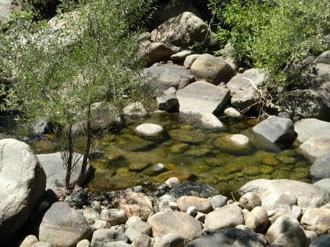 44994 S Fork Dr, Three Rivers, CA 93271 photo 41