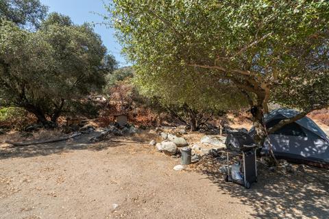 45244 S Fork Dr #D, Three Rivers, CA 93271 photo 42