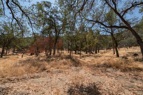 45244 S Fork Dr #D, Three Rivers, CA 93271 photo 88