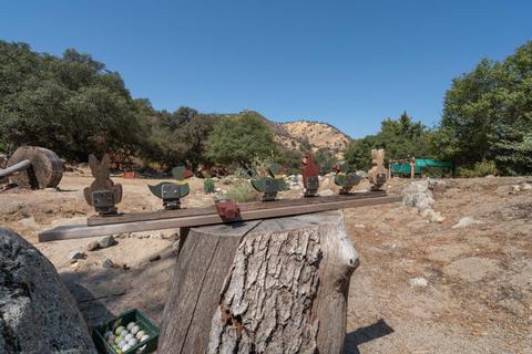 45244 S Fork Dr #D, Three Rivers, CA 93271 photo 36