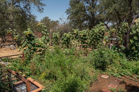45244 S Fork Dr #D, Three Rivers, CA 93271 photo 74