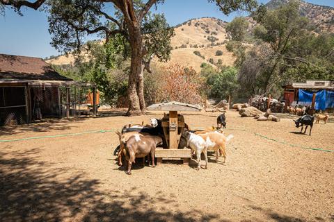 45244 S Fork Dr #D, Three Rivers, CA 93271 photo 89