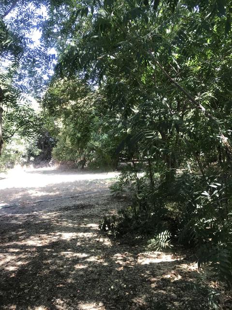 19545 Avenue 300, Exeter, CA 93221 photo 7