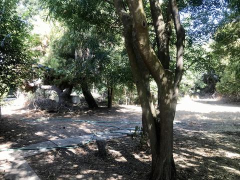 19545 Avenue 300, Exeter, CA 93221 photo 6