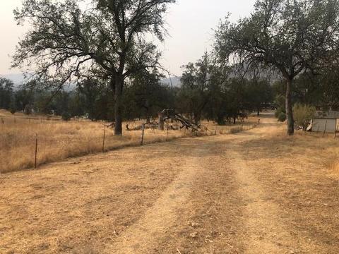 37171 Mistletoe Rd, Squaw Valley, CA 93675 photo 2