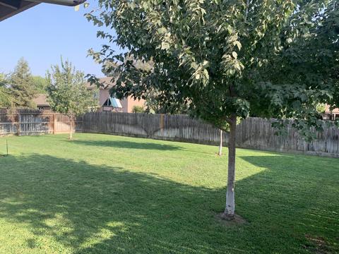 4225 E Murray Ave, Visalia, CA 93292 photo 21