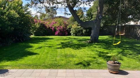332 Archer St, Salinas, CA 93901 photo 4