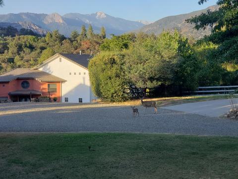 43429 Sierra Dr #C, Three Rivers, CA 93271 photo 9