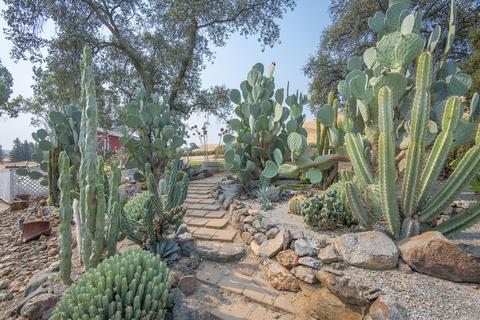 31035 Palm Dr, Exeter, CA 93221 photo 69