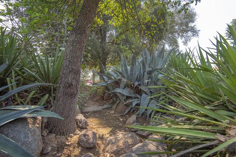 31035 Palm Dr, Exeter, CA 93221 photo 70