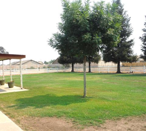 1131 E K Ave, Visalia, CA 93292 photo 21