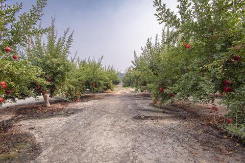30690 Mehrten Dr, Exeter, CA 93221 photo 71