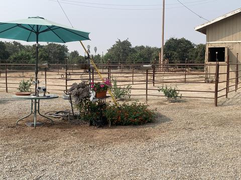 15552 Avenue 328, Ivanhoe, CA 93235 photo 31