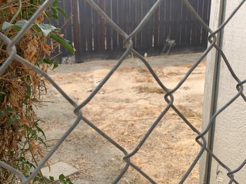 15552 Avenue 328, Ivanhoe, CA 93235 photo 28
