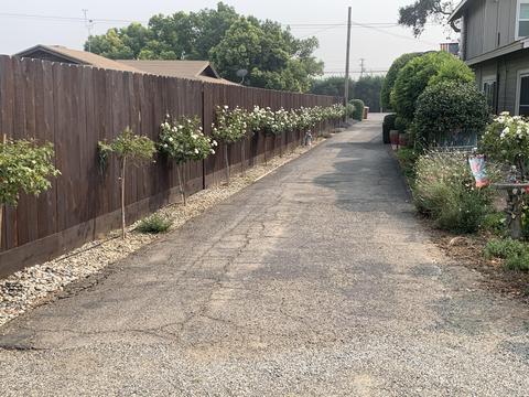 15552 Avenue 328, Ivanhoe, CA 93235 photo 4