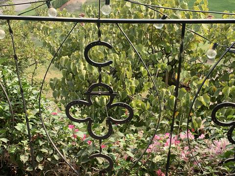 15552 Avenue 328, Ivanhoe, CA 93235 photo 25
