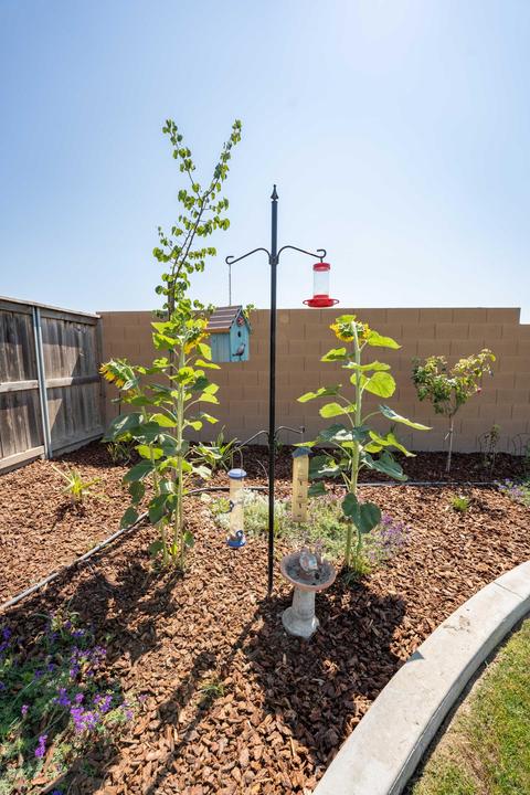 1503 Softwind Dr, Tulare, CA 93274 photo 49