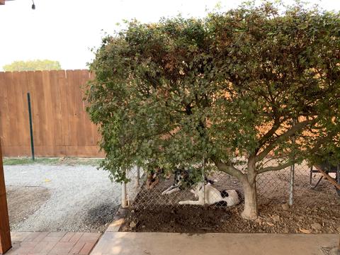 512 Waldo Ave, Exeter, CA 93221 photo 35