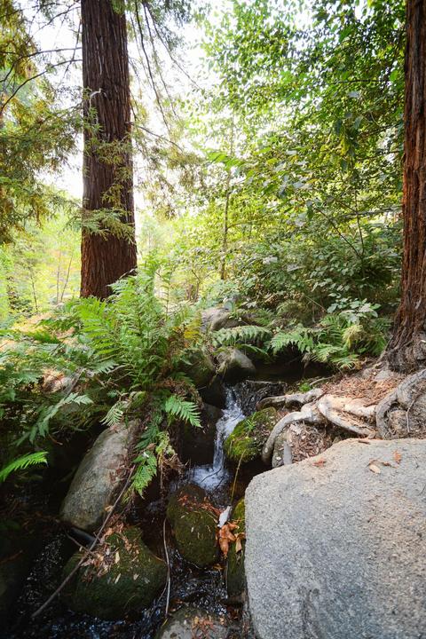44229 Kaweah River Dr # -C, Three Rivers, CA 93271 photo 33