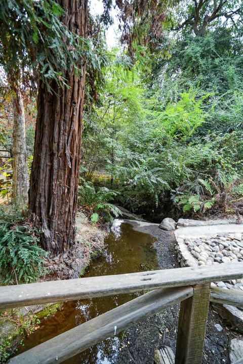 44229 Kaweah River Dr # -C, Three Rivers, CA 93271 photo 38