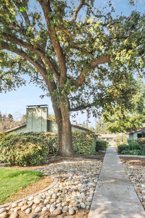 1830 E Vassar, Visalia, CA 93291 photo 6