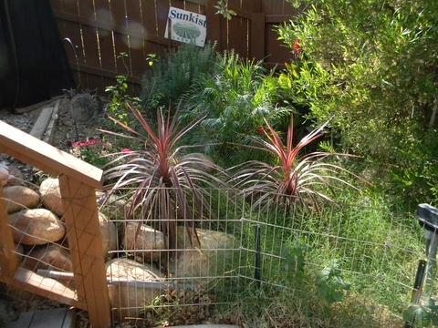 40992 Meadow Dr, Three Rivers, CA 93271 photo 14