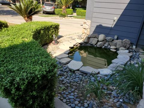 2175 Shell Ct, Tulare, CA 93274 photo 40