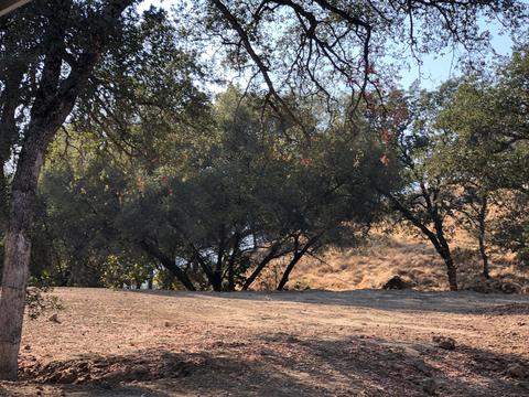 41955 Black Oak Dr, Three Rivers, CA 93271 photo 3