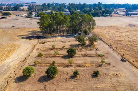 11244 N Stanford Ave, Clovis, CA 93619 photo 58