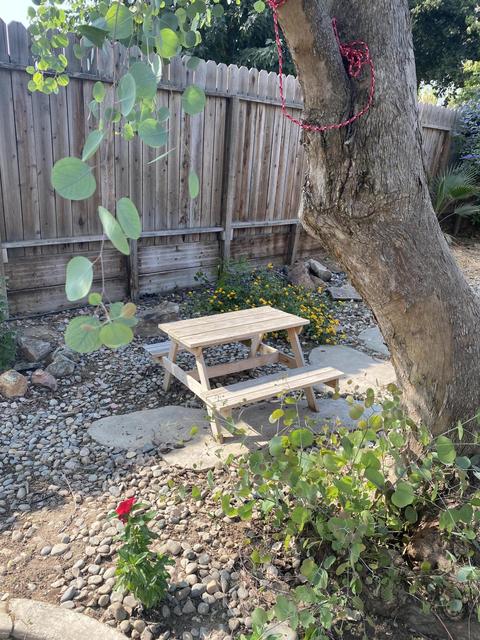622 Moore Cir, Exeter, CA 93221 photo 44