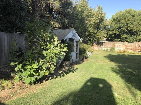 3936 E Feemster Ave, Visalia, CA 93292 photo 23