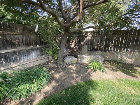 644 Richmond Ct, Exeter, CA 93221 photo 50