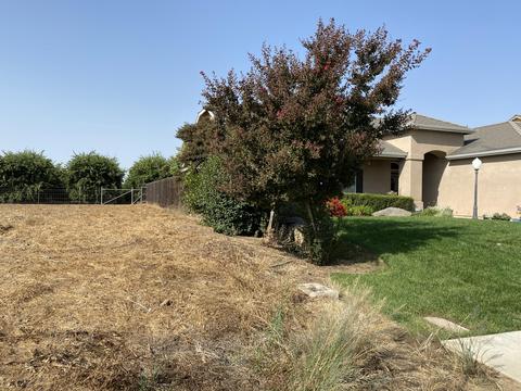 644 Richmond Ct, Exeter, CA 93221 photo 5