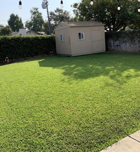 429 Carissa Ct, Exeter, CA 93221 photo 46