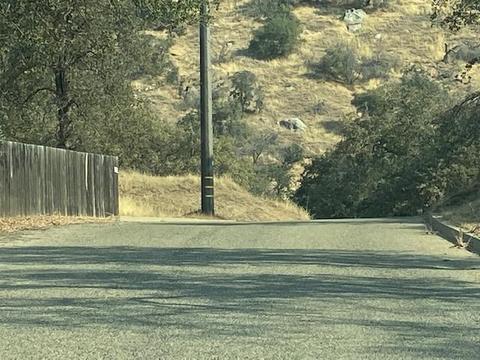 0 Mynatt, Three Rivers, CA 93271 photo 4
