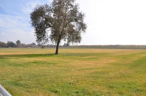 13401 Ave 328 #LOT 1, Visalia, CA 93292