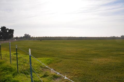 13401 Ave 328 #LOT 3, Visalia, CA 93292