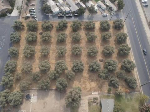 705 S Kaweah Ave, Exeter, CA 93221 photo 6