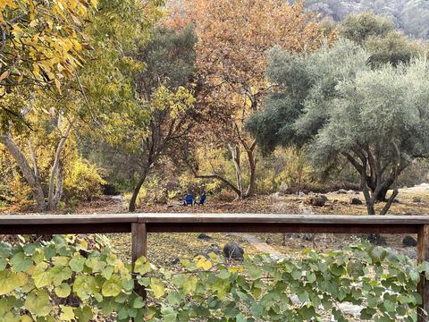 44291 N Fork Dr, Three Rivers, CA 93271 photo 64