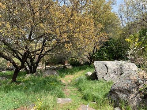 44291 N Fork Dr, Three Rivers, CA 93271 photo 67