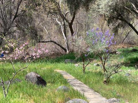 44291 N Fork Dr, Three Rivers, CA 93271 photo 68