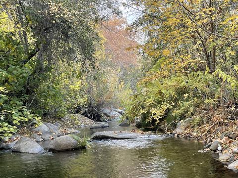 44291 N Fork Dr, Three Rivers, CA 93271 photo 63