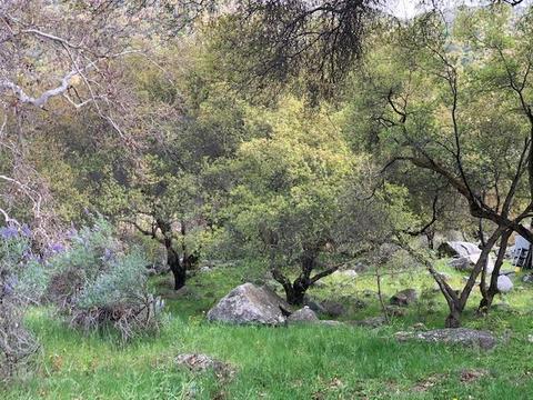 44291 N Fork Dr, Three Rivers, CA 93271 photo 70