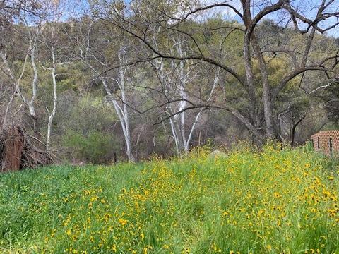 44291 N Fork Dr, Three Rivers, CA 93271 photo 74