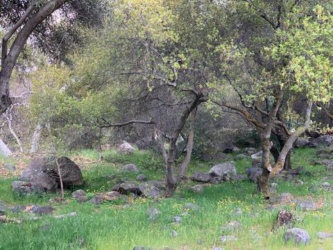 44291 N Fork Dr, Three Rivers, CA 93271 photo 72
